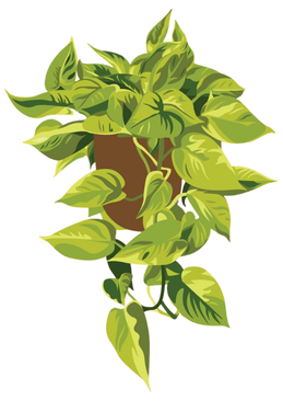 Plant collage